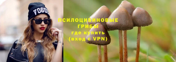 ПСИЛОЦИБИНОВЫЕ ГРИБЫ Абаза