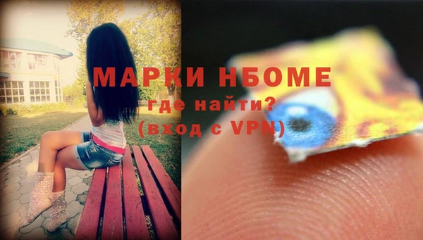 ПСИЛОЦИБИНОВЫЕ ГРИБЫ Абаза