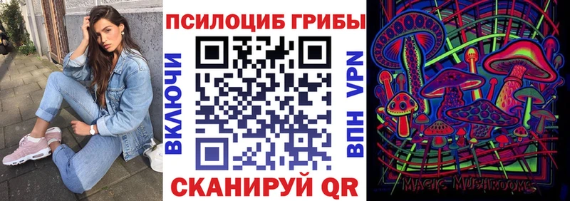 Псилоцибиновые грибы Cubensis  наркота  Юхнов 